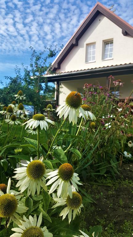 Vila Joana Palanga Exteriör bild
